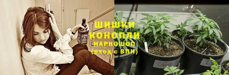 ссылка на мегу   Наволоки  Шишки марихуана Bruce Banner 